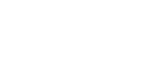 delhi escorts png logo